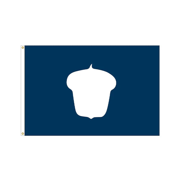 Treasurer Flag