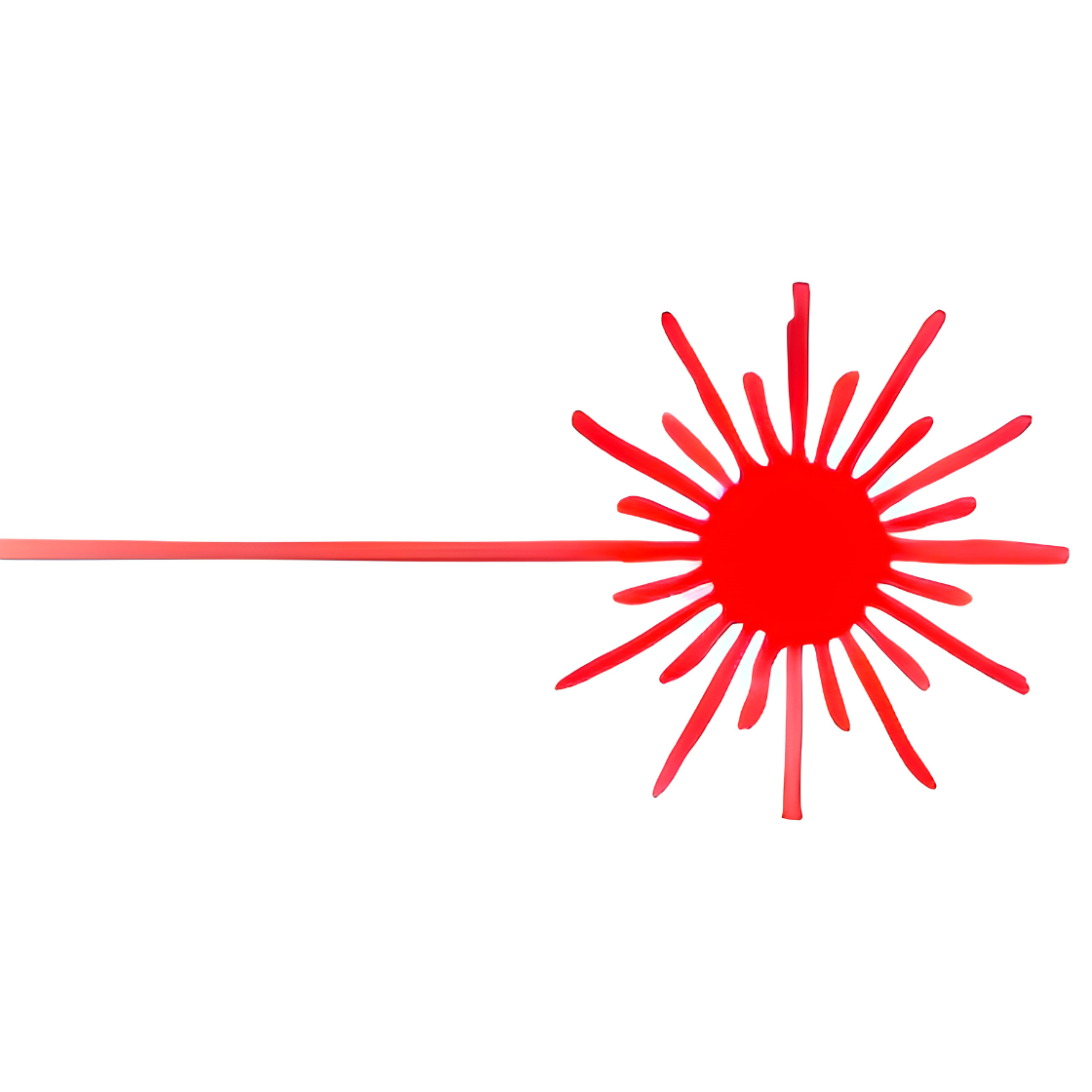 Laser Class Flag