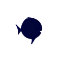 Sunfish Class Flag
