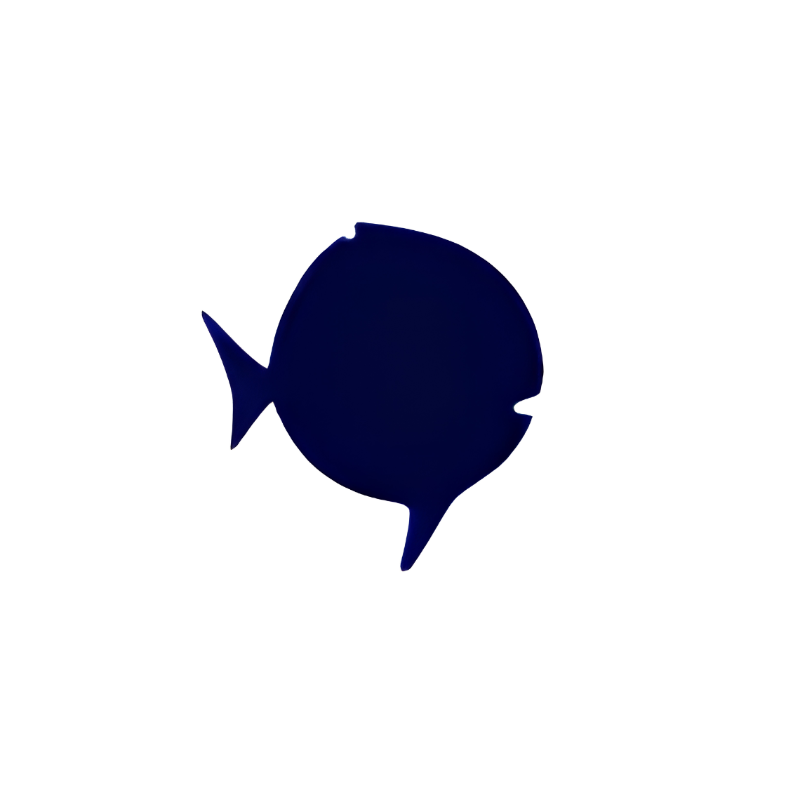 Sunfish Class Flag