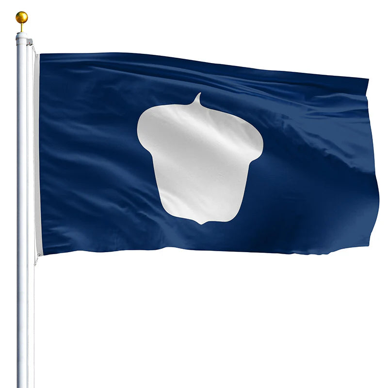 Treasurer Flag