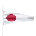 Numeral Flag #1